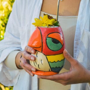 vaso-tiki-lorito-multicolor-frente