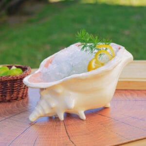 vaso-tiki-caracola-de-mar-blanco