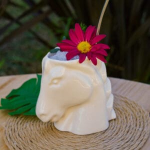 vaso-tiki-caballo-principal